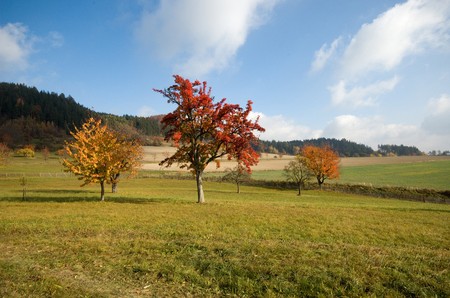 04_V krajině 16